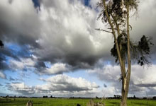 开云体育在线-印度队绝杀德国队，戴资颖点燃赛场